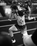 Momentum Shorts